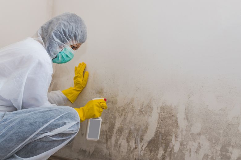 Mold Inspection
